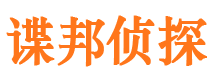 渠县市调查公司